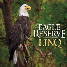 Eagle Reserve Single CD