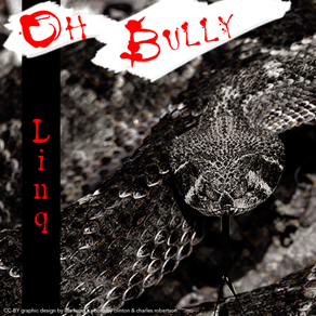 "Oh Bully" Single CD